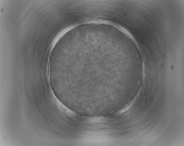 X0000055511247200509022050