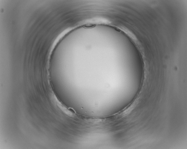 X0000055511248200509022050