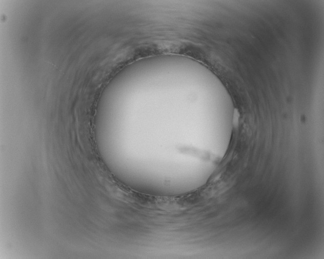 X0000055511249200509022049