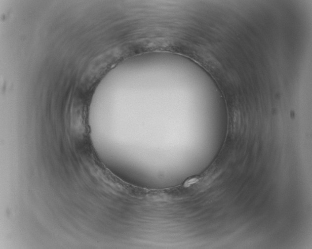 X0000055511250200509022049