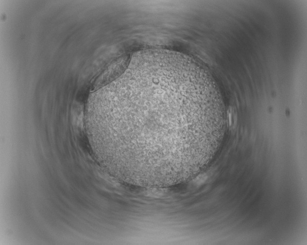 X0000055511251200509022049