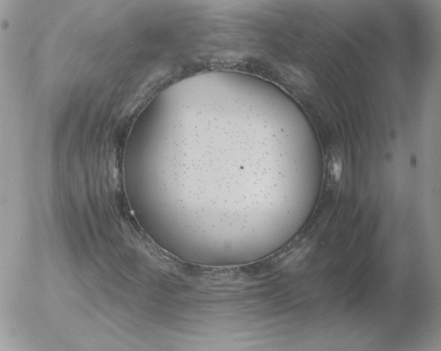 X0000055511252200509022049