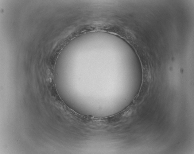 X0000055511253200509022049