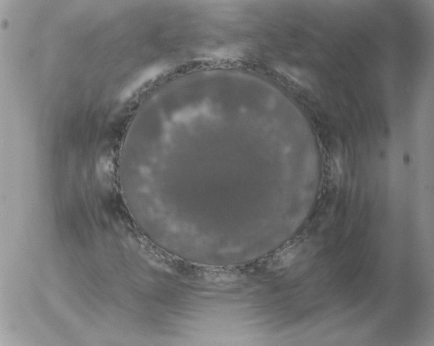 X0000055511254200509022049