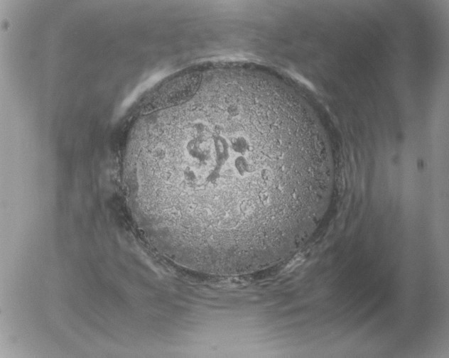 X0000055511255200509022049