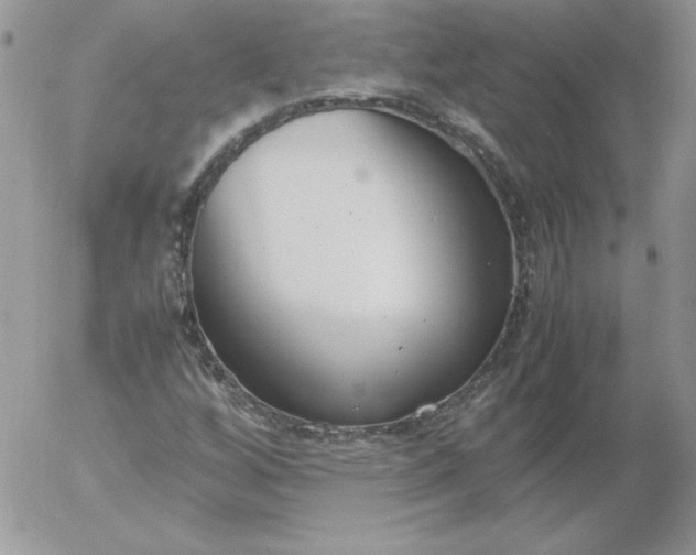 X0000055511256200509022049