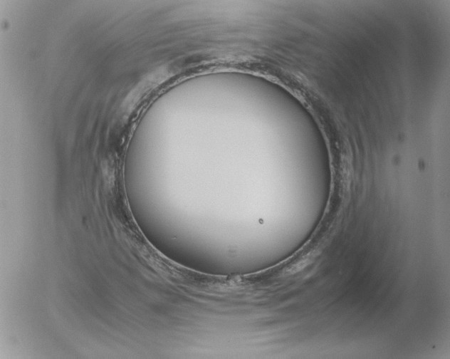 X0000055511257200509022049