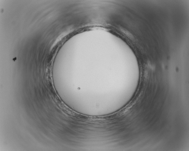 X0000055511258200509022049