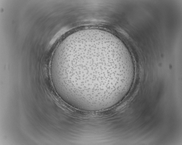 X0000055511259200509022049