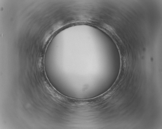 X0000055511260200509022049