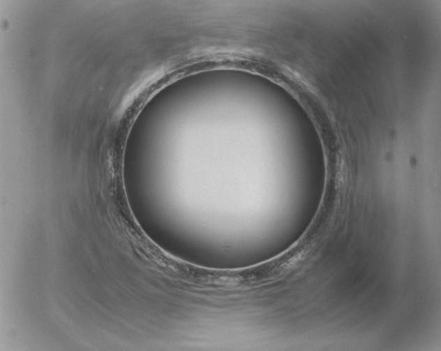 X0000055511261200509022049