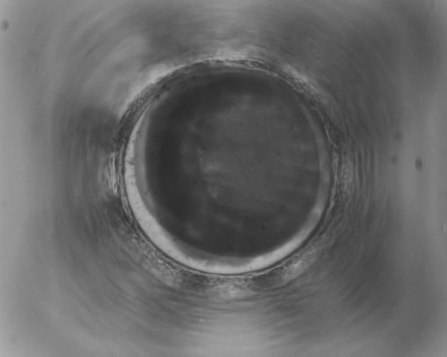 X0000055511262200509022049