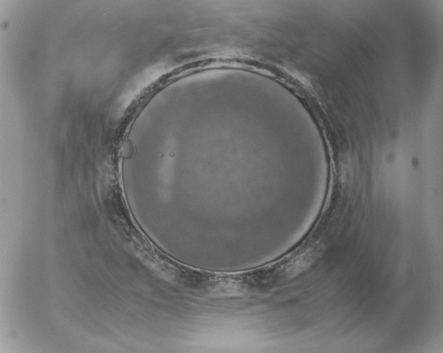 X0000055511263200509022049