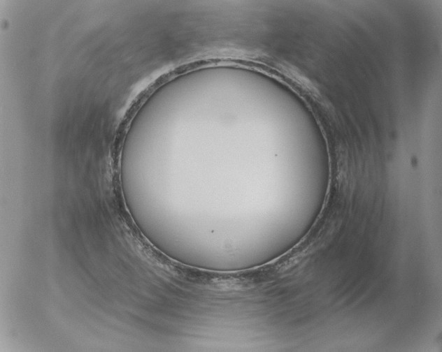 X0000055511264200509022048