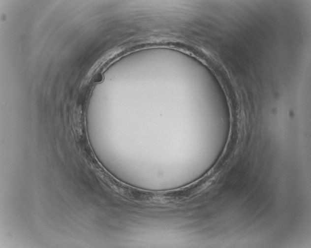 X0000055511265200509022048