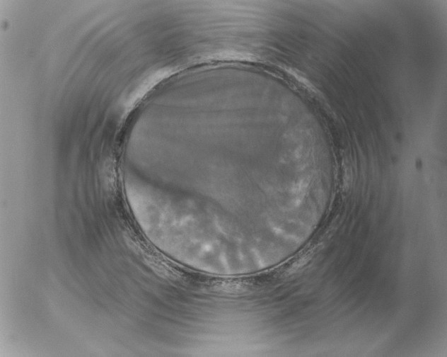 X0000055511266200509022048