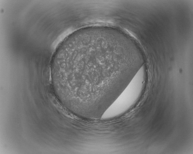 X0000055511267200509022048