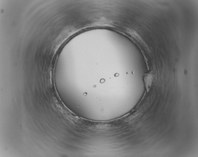 X0000055511268200509022048