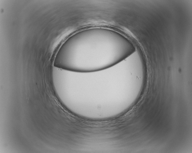 X0000055511269200509022048