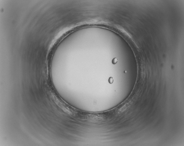 X0000055511270200509022048