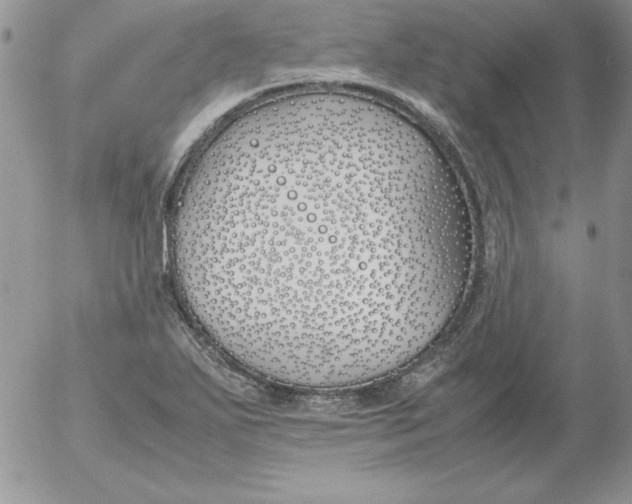 X0000055511271200509022048