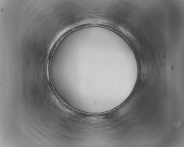 X0000055511272200509022048