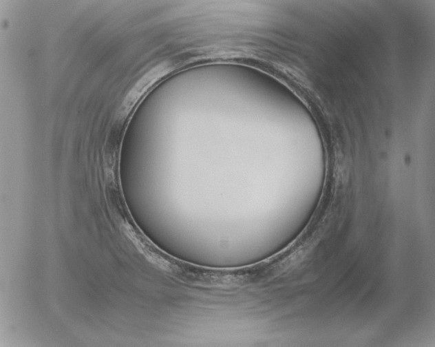 X0000055511273200509022048