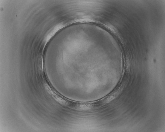 X0000055511274200509022048