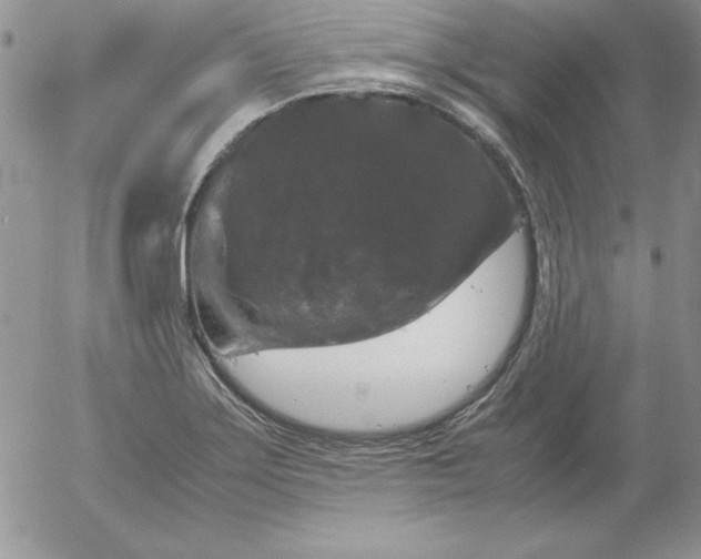 X0000055511275200509022048