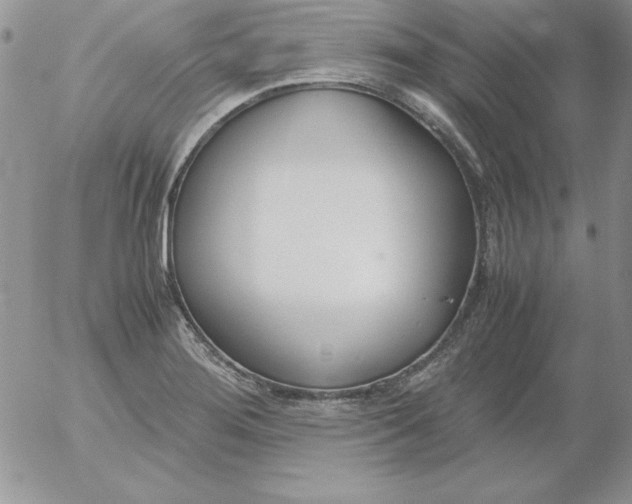 X0000055511276200509022048