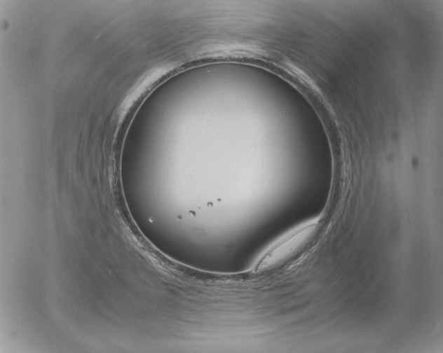 X0000055511277200509022048