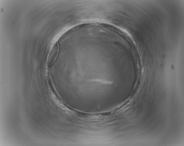 X0000055511279200509022048