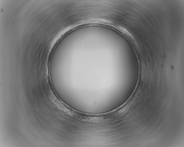 X0000055511280200509022048