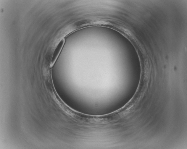 X0000055511281200509022048