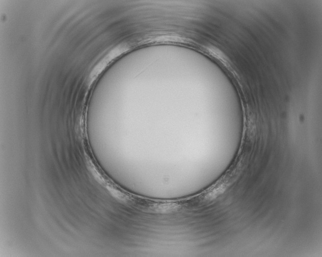 X0000055511282200509022048