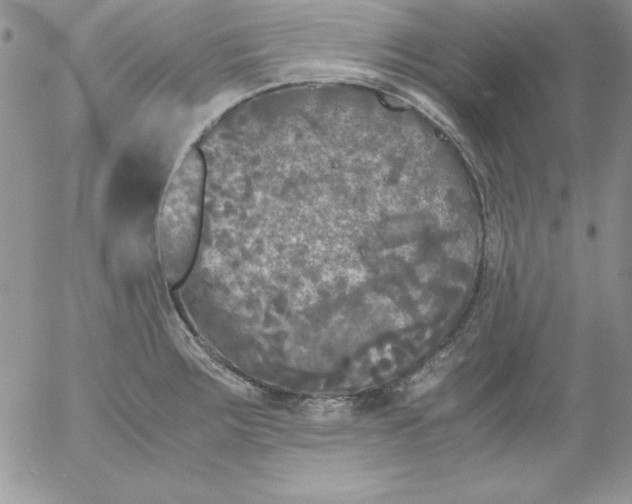 X0000055511283200509022048