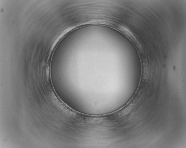 X0000055511284200509022048