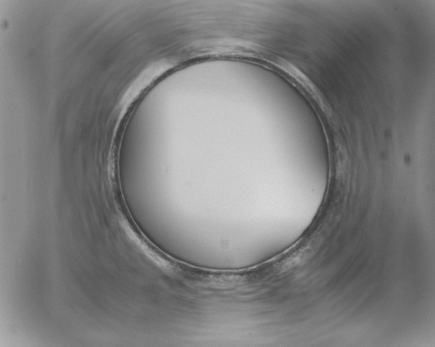 X0000055511285200509022048