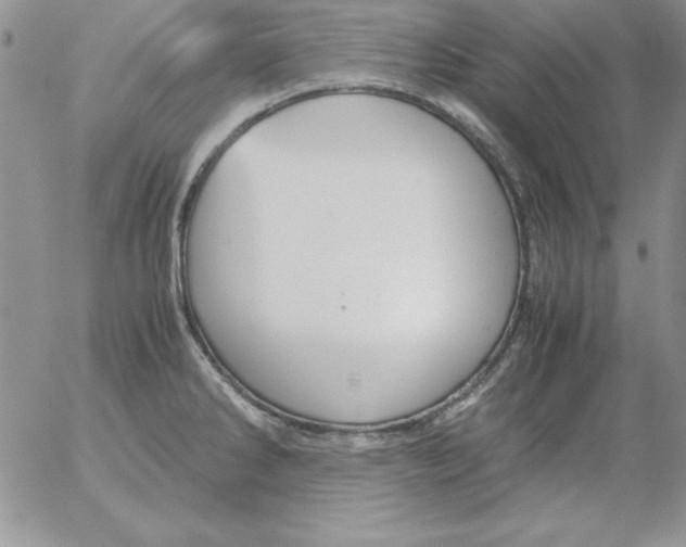 X0000055511286200509022048