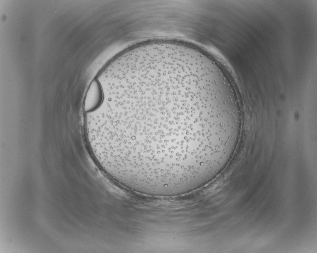 X0000055511287200509022048