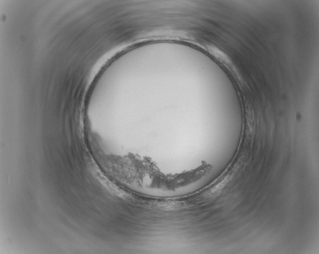 X0000055511288200509022048