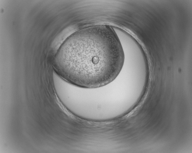 X0000055511289200509022048