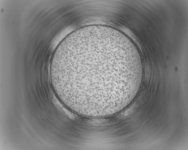 X0000055511290200509022048