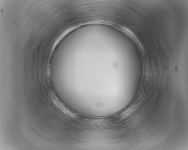 X0000055511292200509022048