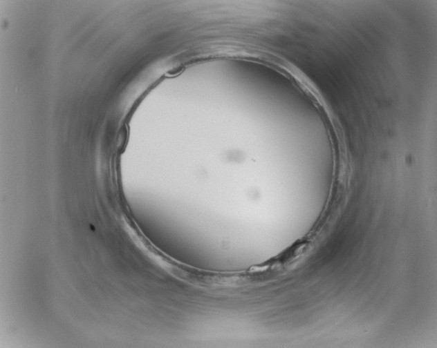 X0000055511293200509022048