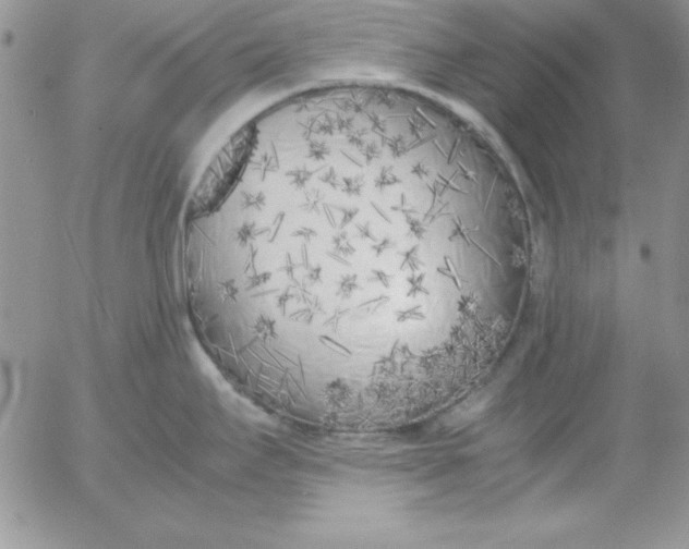 X0000055511295200509022048