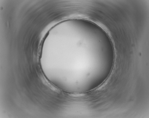 X0000055511296200509022048