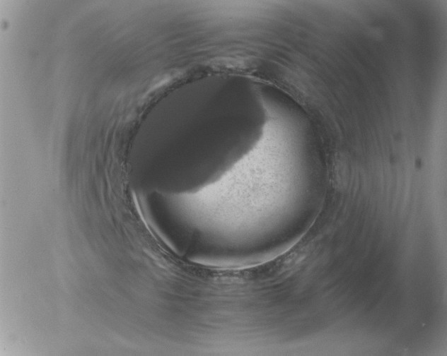 X0000055511297200509022047