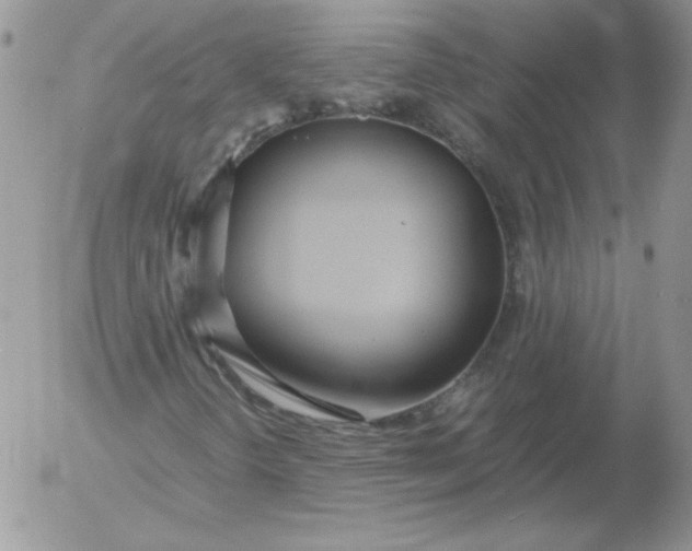 X0000055511298200509022047