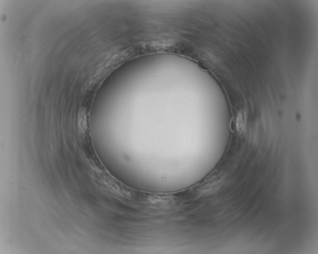 X0000055511299200509022047